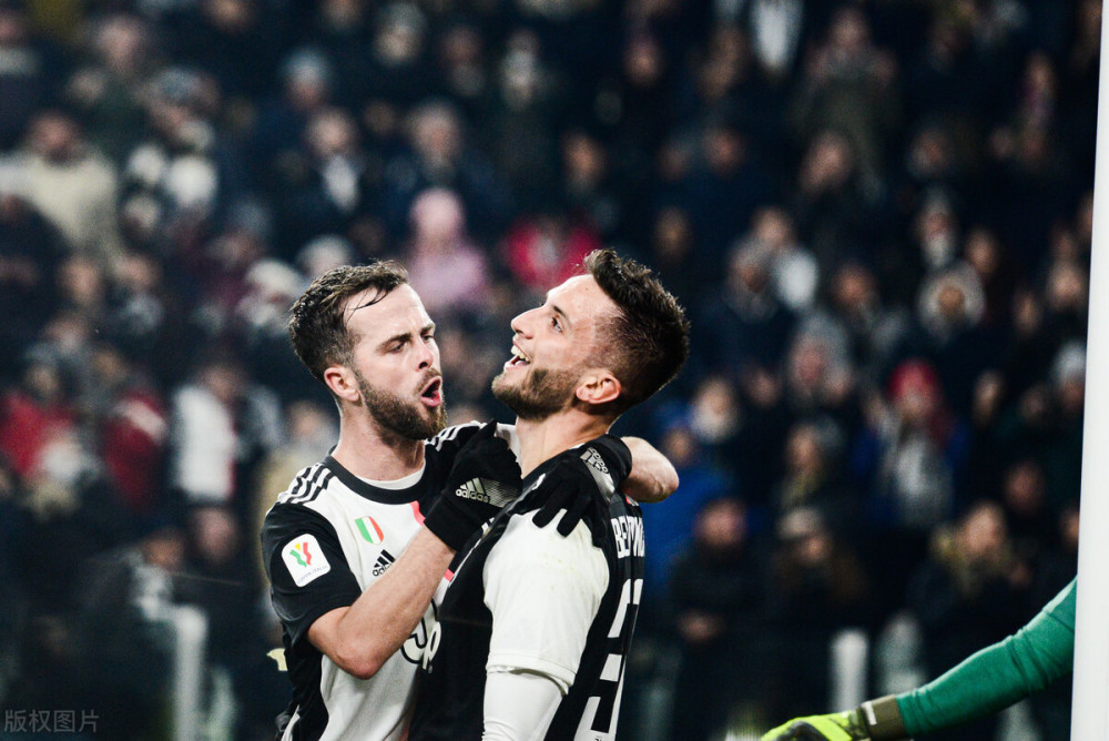 中发挥重要 中发挥重要