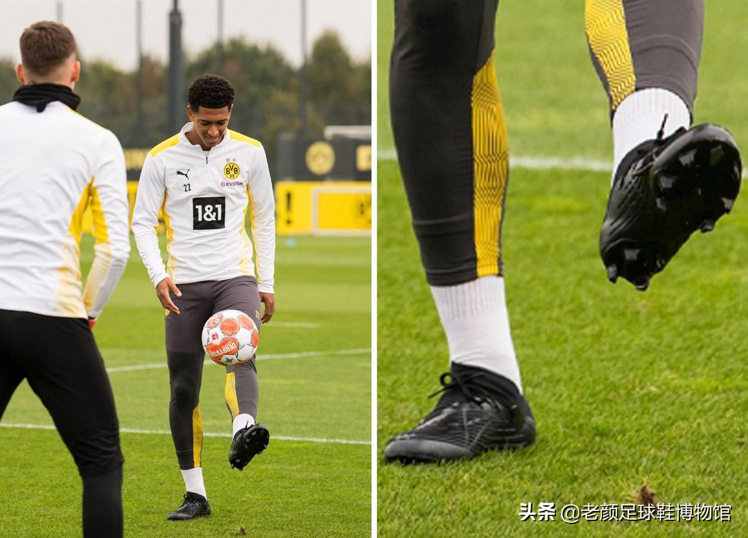 还优化了战 还优化了战